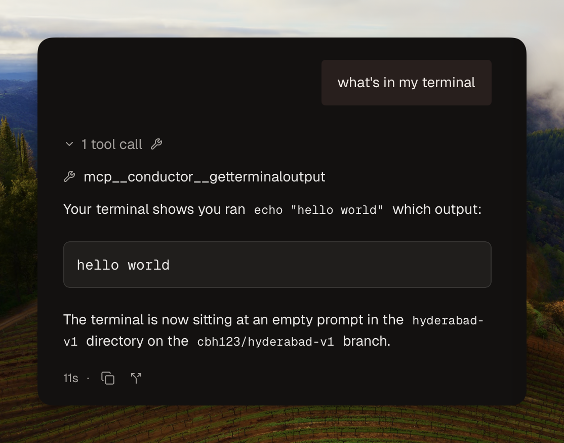 Claude can now read your terminal